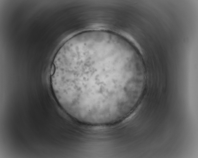 X0000088491421200706191416