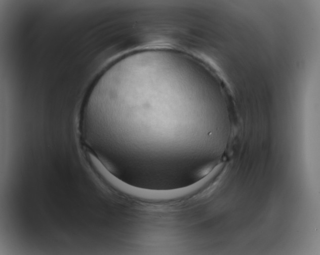 X0000088491422200706191416