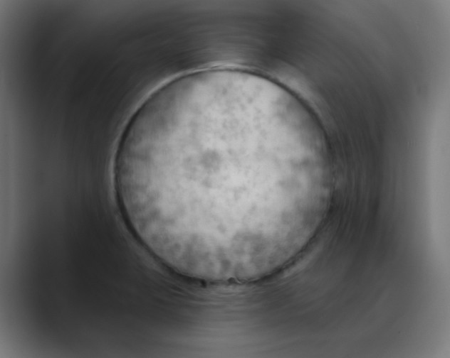 X0000088491423200706191416