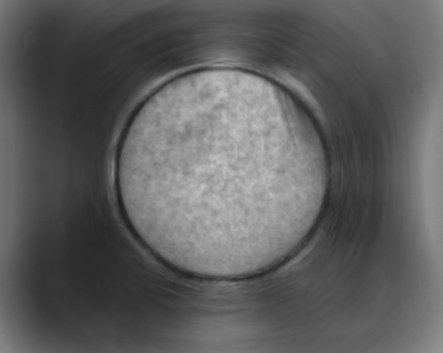 X0000088491424200706191416