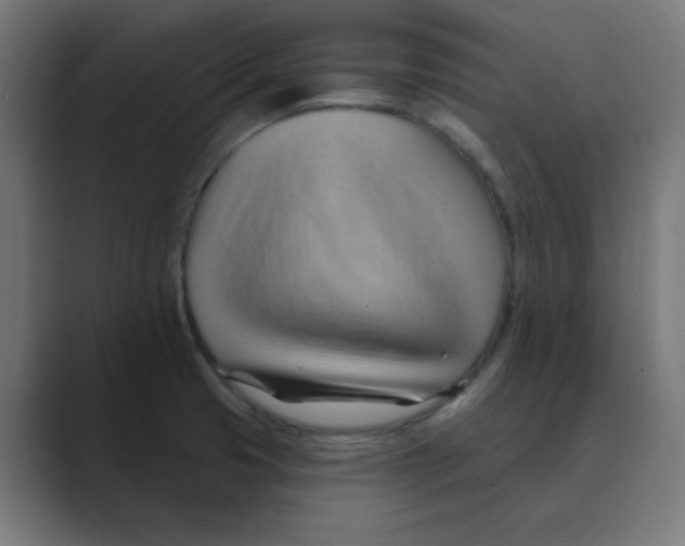 X0000088491425200706191416