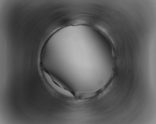 X0000088491426200706191416