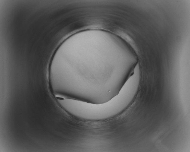 X0000088491428200706191416