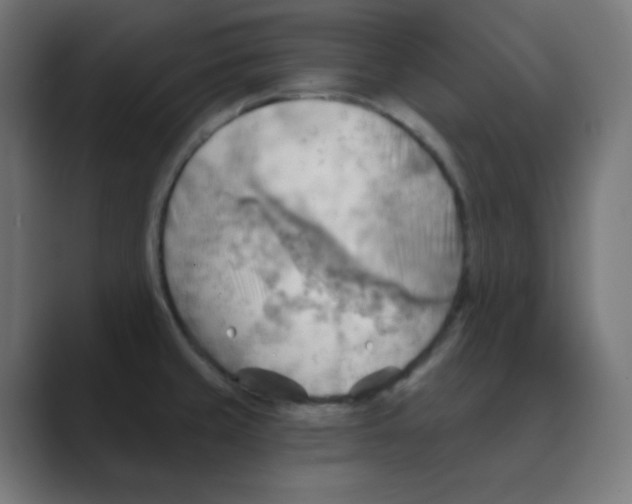 X0000088491429200706191416