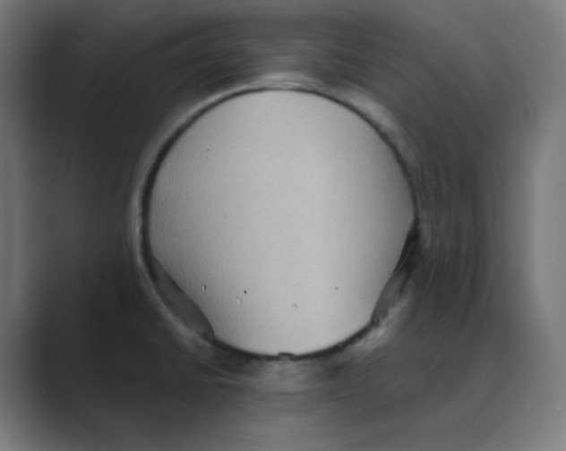 X0000088491430200706191416