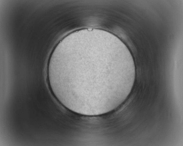 X0000088491432200706191416