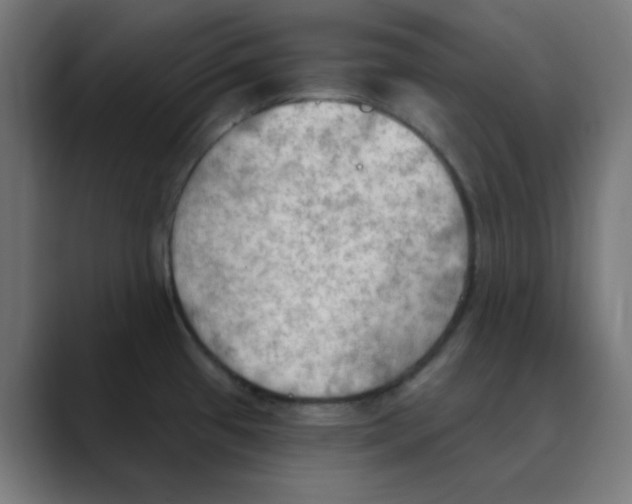 X0000088491433200706191416