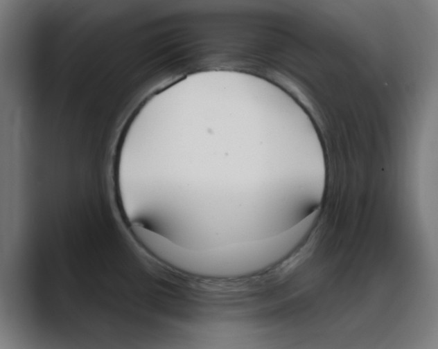 X0000088491434200706191416