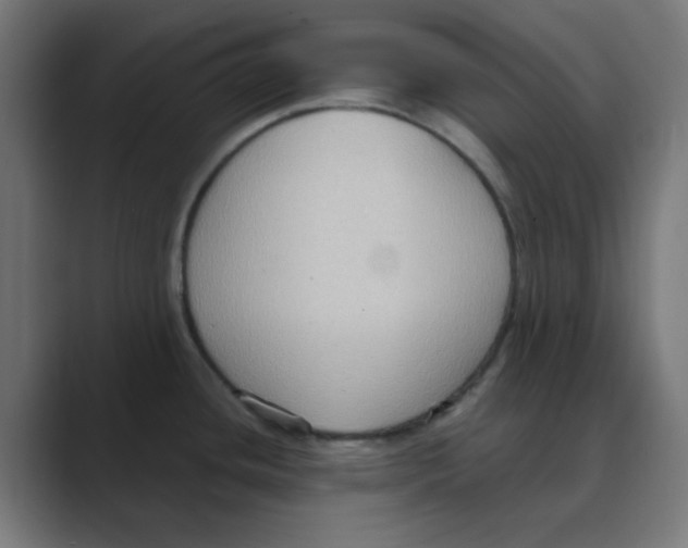 X0000088491436200706191416
