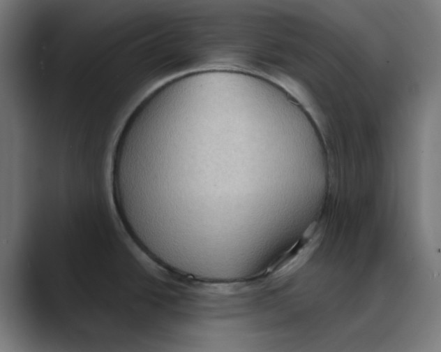 X0000088491438200706191416