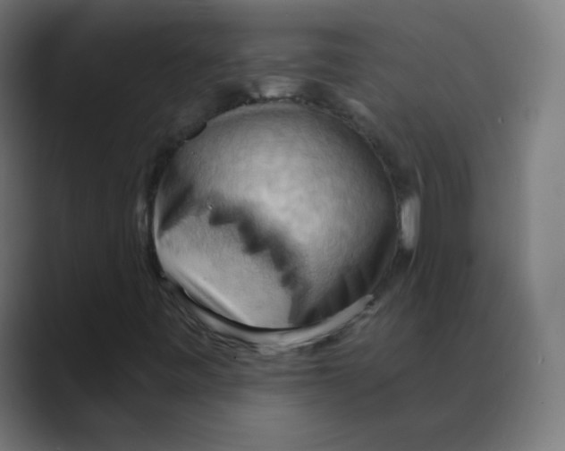 X0000088491443200706191416