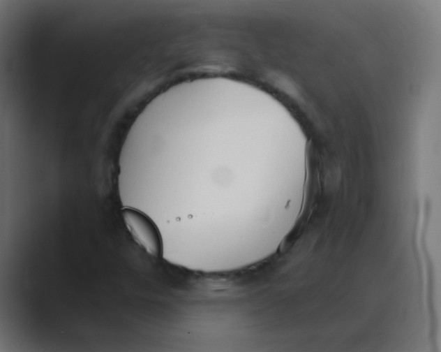 X0000088491448200706191416
