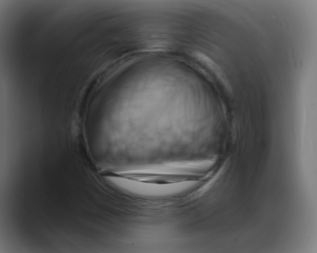 X0000088491449200706191416
