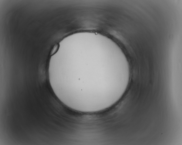 X0000088491451200706191416