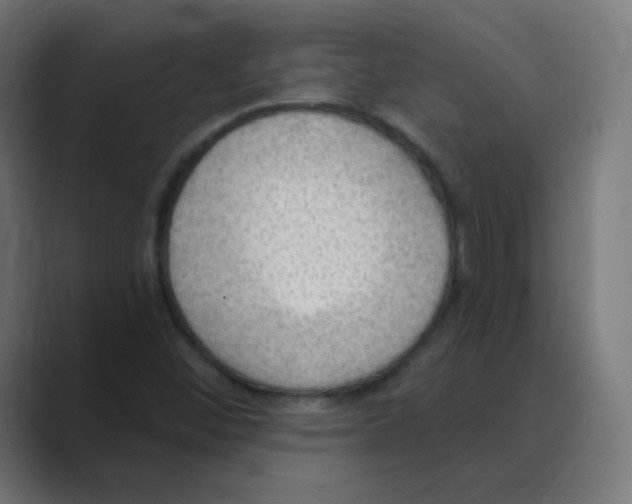 X0000088491452200706191416