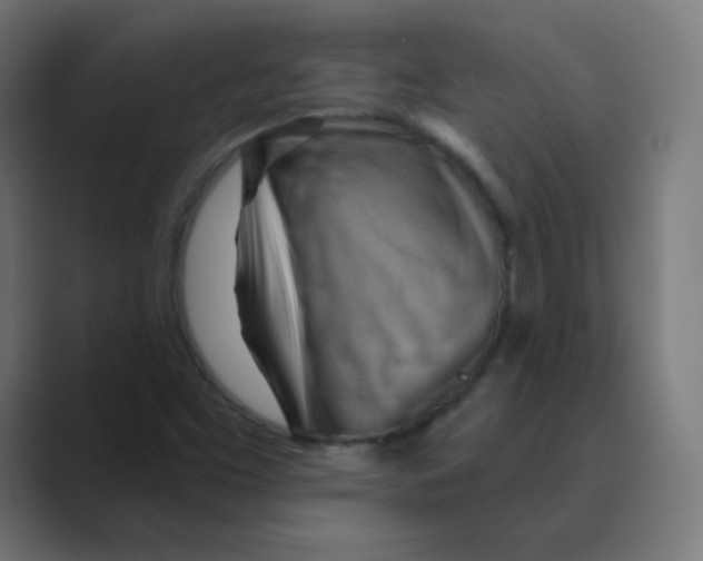 X0000088491453200706191416