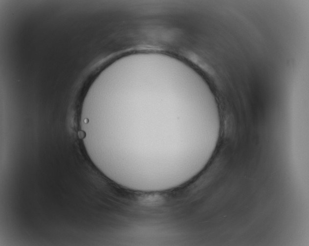 X0000088491454200706191416