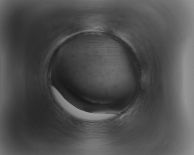 X0000088491455200706191416