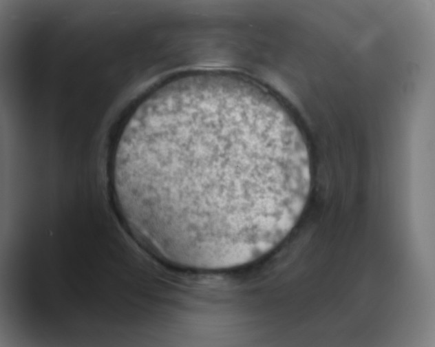 X0000088491456200706191416