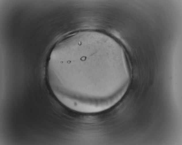 X0000088491459200706191416