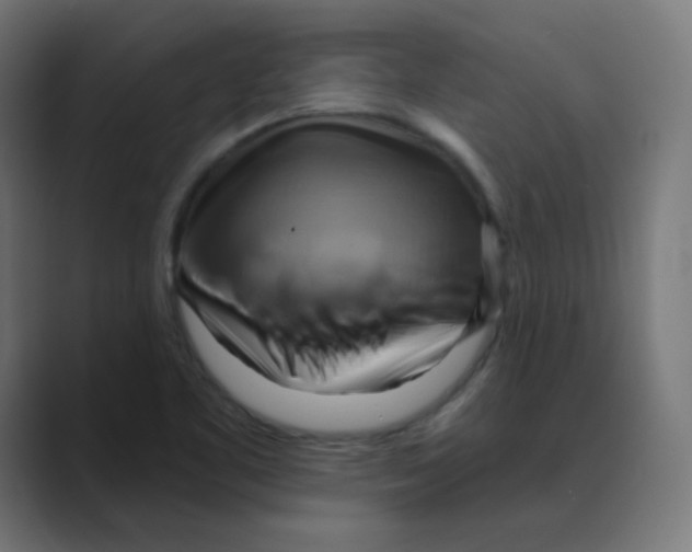 X0000088491461200706191416