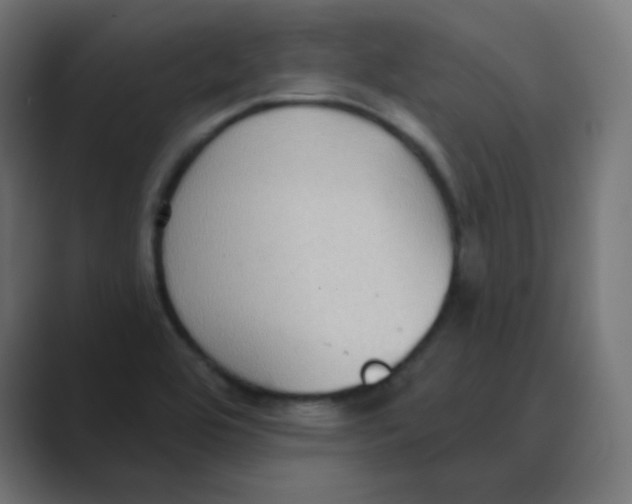X0000088491464200706191416