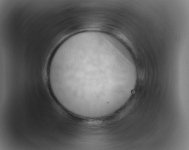 X0000088491466200706191416