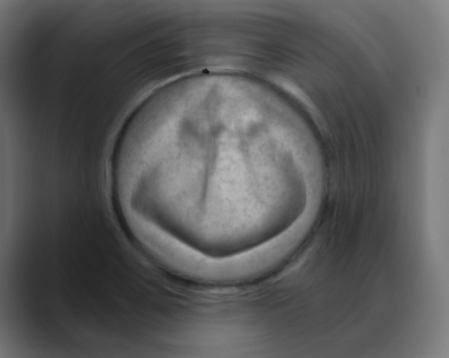X0000088491467200706191416