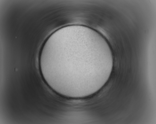 X0000088491468200706191416
