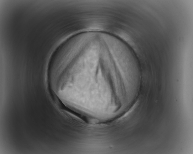 X0000088491469200706191416