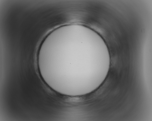 X0000088491470200706191416
