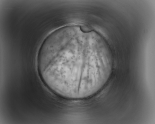 X0000088491471200706191416
