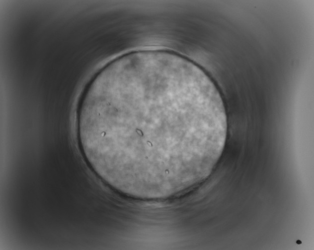X0000088491472200706191416
