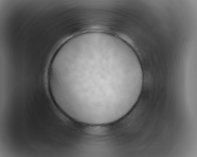 X0000088491474200706191416