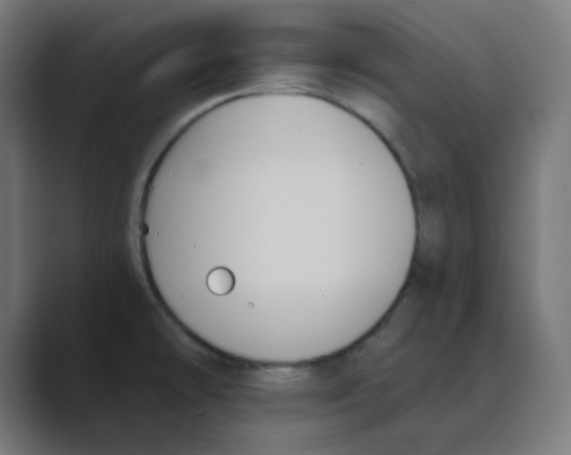 X0000088491478200706191415