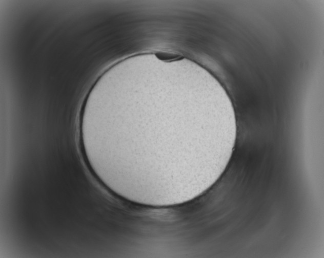 X0000088491479200706191415