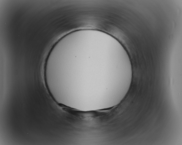 X0000088491480200706191415