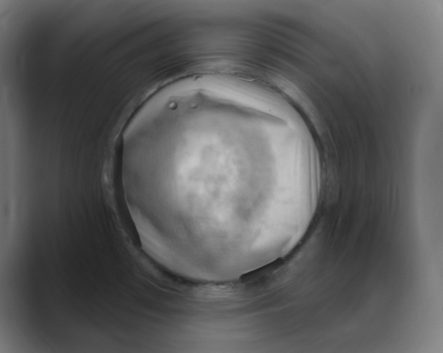 X0000088491481200706191415