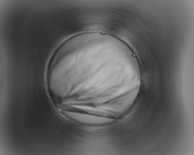 X0000088491482200706191415