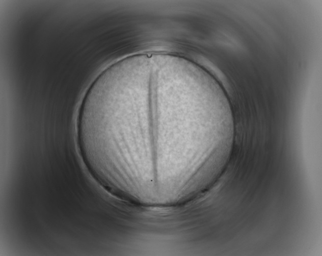 X0000088491483200706191415