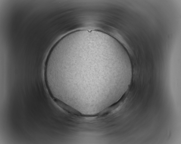 X0000088491484200706191415