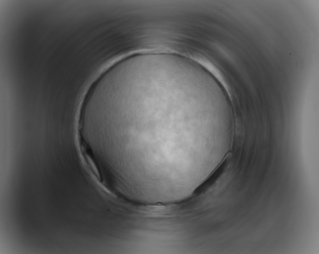 X0000088491485200706191415
