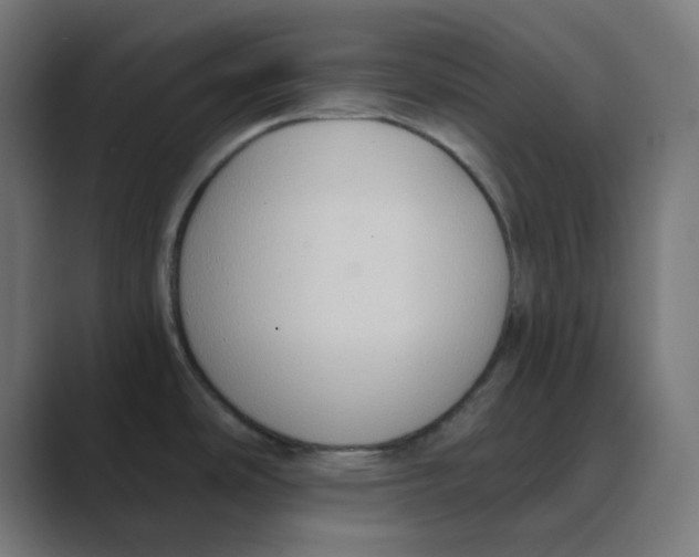 X0000088491486200706191415