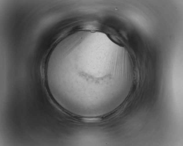 X0000088491487200706191415