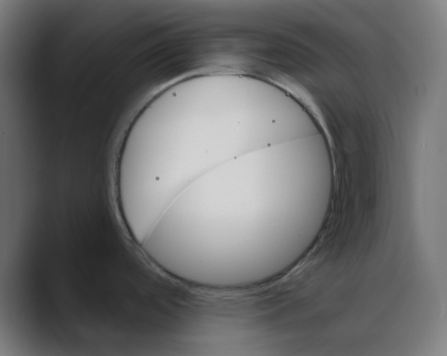 X0000088491488200706191415