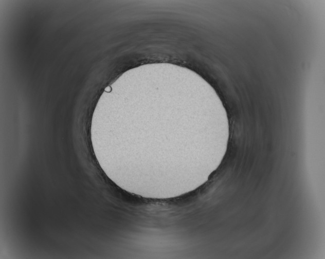 X0000088491489200706191415