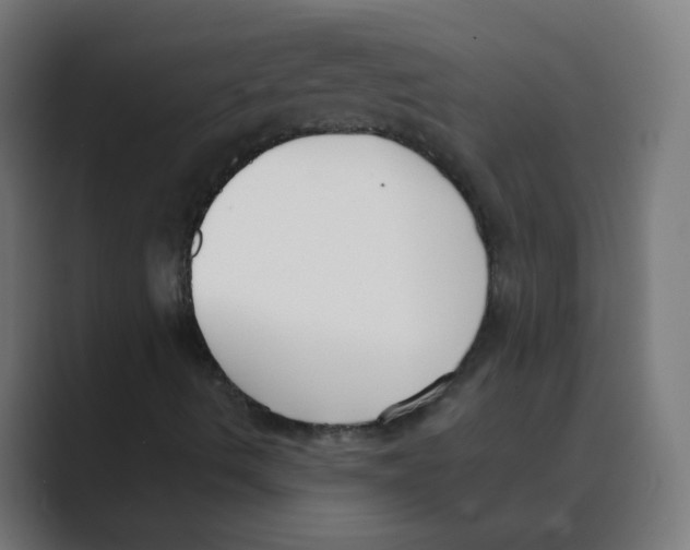 X0000088491490200706191415