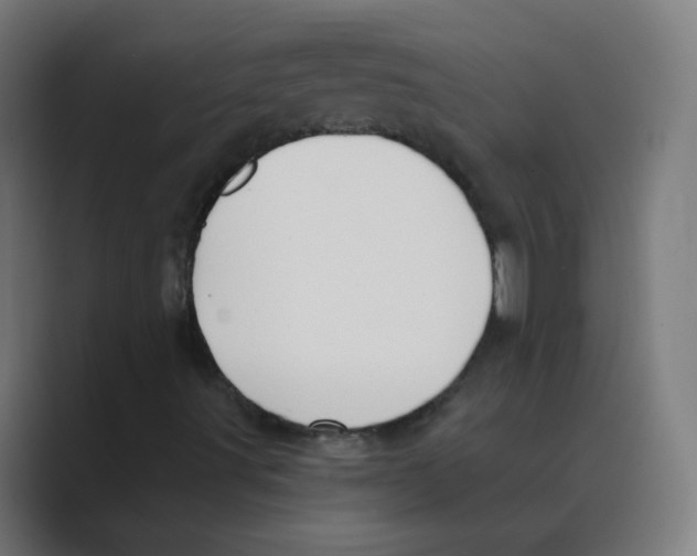 X0000088491491200706191415