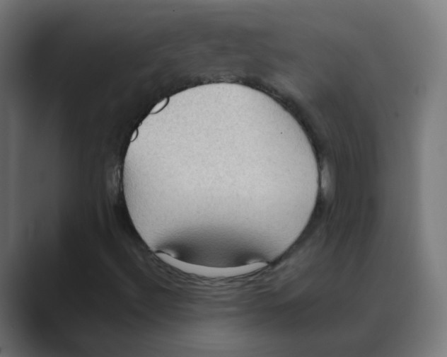 X0000088491492200706191415