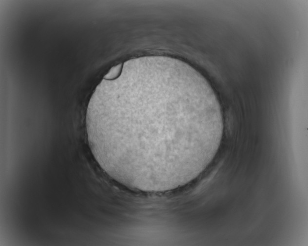 X0000088491494200706191415